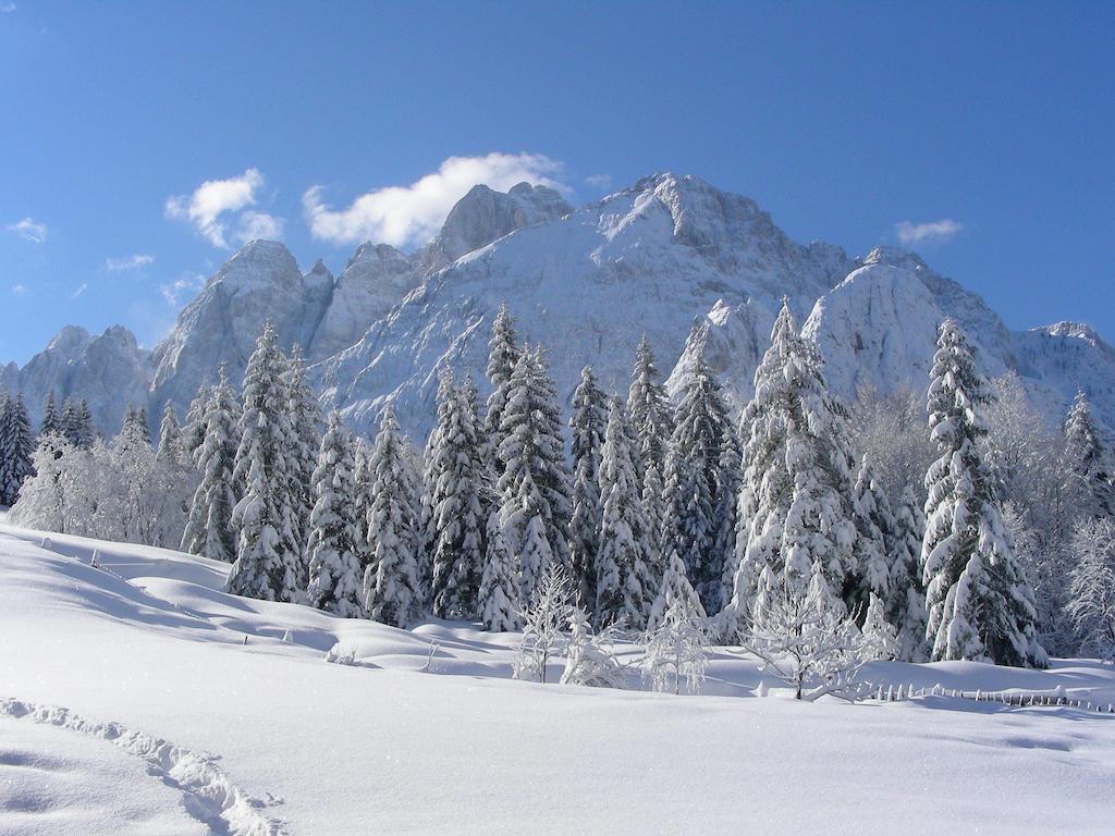 Bauernhof Prati Oitzinger