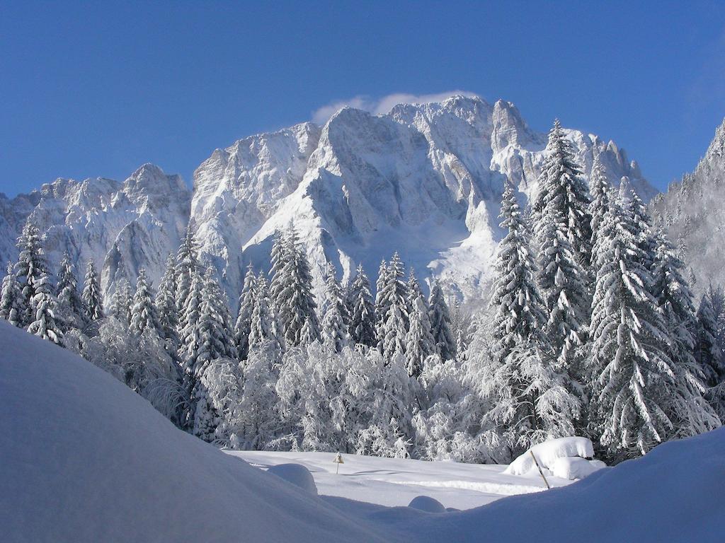 Bauernhof Prati Oitzinger Valbruna